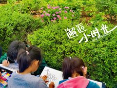 -西苑公园