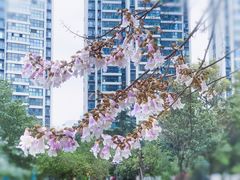 -红星桥(地铁站)