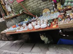 -山城巷传统风貌区