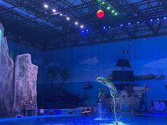 -华夏文旅海洋公园