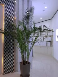 -痘敏医生专业祛痘·肌肤修复连锁