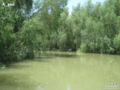 -大湾区中央湿地公园