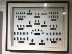 -上海昆虫博物馆