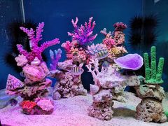 -上海海昌海洋公园