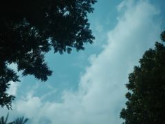 -白鹭湾湿地公园