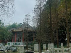 -顺峰山公园
