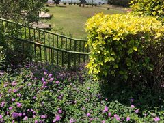 -大嶝英雄三岛战地观光园