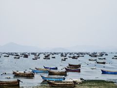 -春妮海味饭店·海景餐厅·海菜包子·大连海鲜