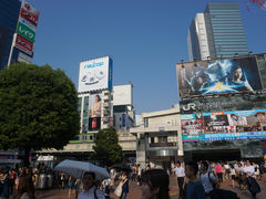 -涩谷区