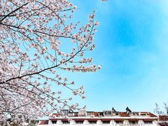 -新虹桥中心花园