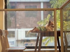 -小意思咖啡店(草桥店)