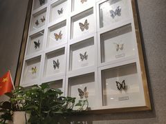 -峨嵋小镇(远洋城店)