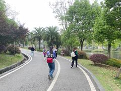 -枫香湖儿童公园