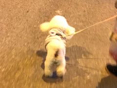 -茉沏(相城天虹店)