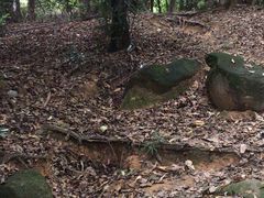 -火炉山森林公园
