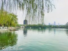 -济南大明湖景区