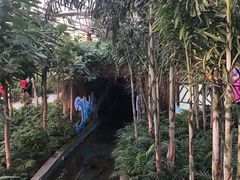 -南宫五洲植物乐园