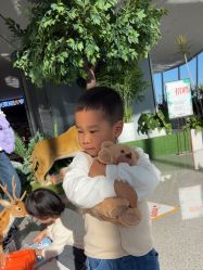 -IMON·HANSA潮玩玩偶毛绒玩具(通州万象汇店)