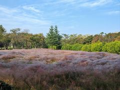 -华山御温泉度假村