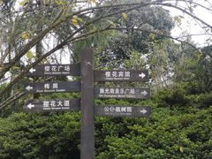 -南山植物园