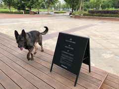 -星巴克(武汉招商公园1872店)
