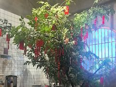 -花悦豆香