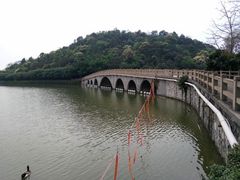 -李小龙乐园(顺德均安店)
