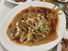 清蒸多宝鱼-双井轩(双井店)