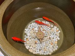 -汉唐宴长安食府