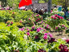 -曹州牡丹园