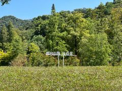 -云溪植物园