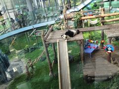 -大连森林动物园