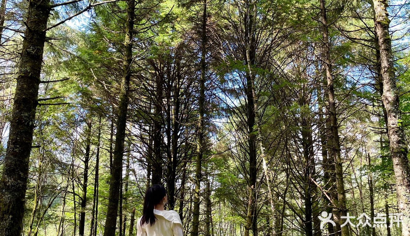 成都周边游｜川内“肯尼亚”风光孟获城