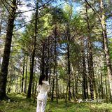 成都周边游｜川内“肯尼亚”风光孟获城