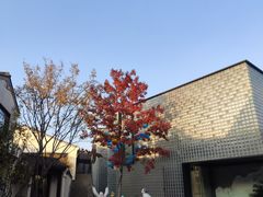 -雅达·阳羡溪山小镇中心