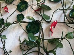 -五悦北平四季涮肉·烧烤(老商埠店)