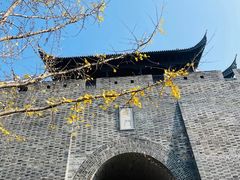 -吴越荣记·苏州菜·松鼠桂鱼(娄门景区店)