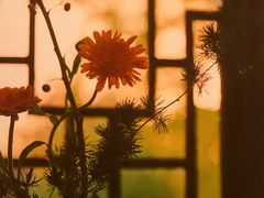 -我嘉书房(南翔名士居店)