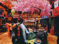 -吉祥圣雪藏餐