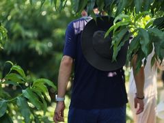 -老袁家蜜桃农场·阳山水蜜桃