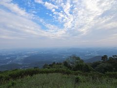 -黄埔油麻山森林公园