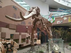 -陕西自然博物馆