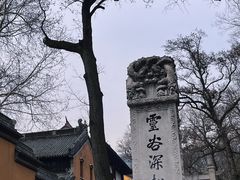 -灵谷景区
