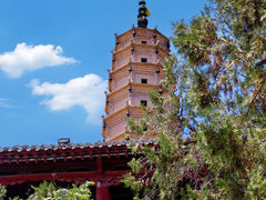 -白塔山公园