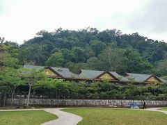 -野象谷景区