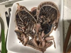 -海底捞火锅(高科广场店)