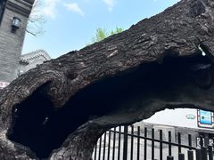 -保定直隶总督署博物馆