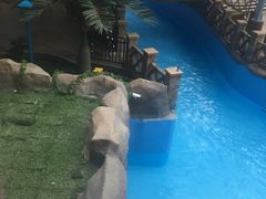 -青岛东方影都融创水世界