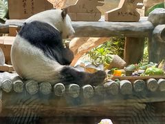 -灵玲国际马戏城