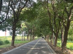 -祝甸砖窑文化馆